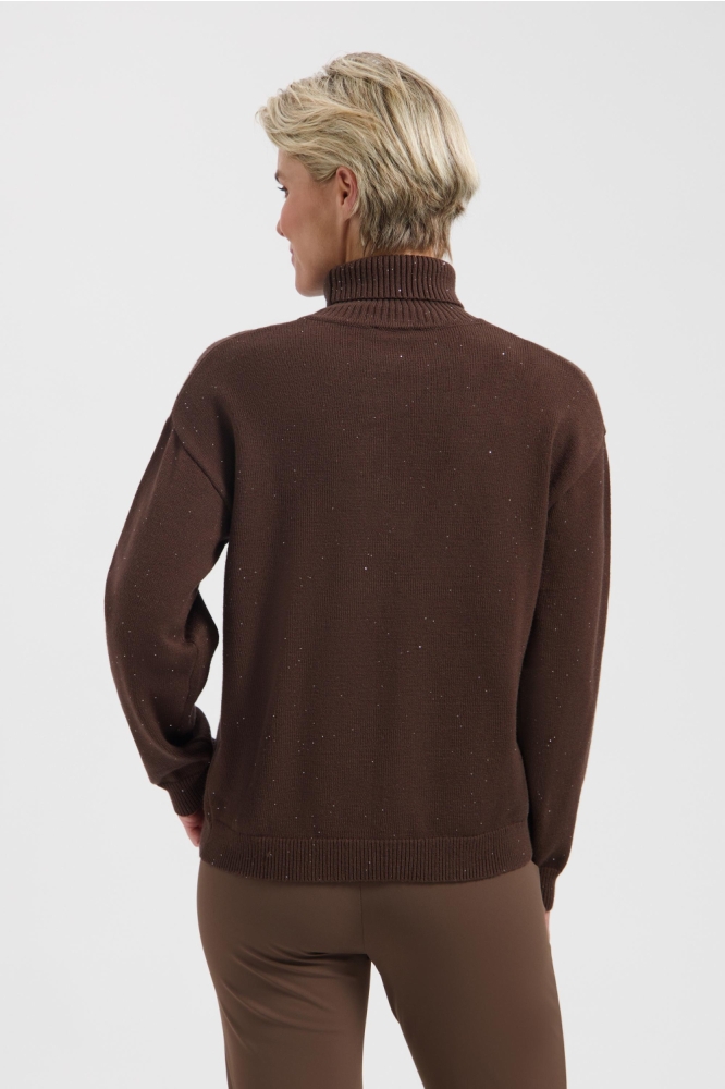 Lady Day bruine dames trui | Model achteraanzicht