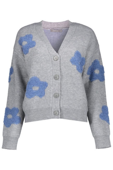 Geisha grijze dames vest | Vooraanzicht