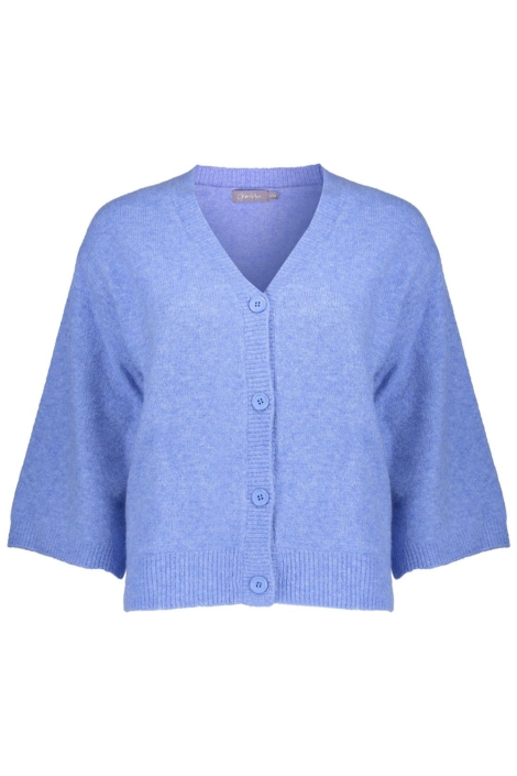 Geisha blauwe dames vest | Vooraanzicht