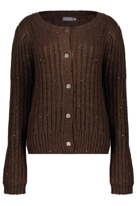 Geisha bruine dames vest | Vooraanzicht