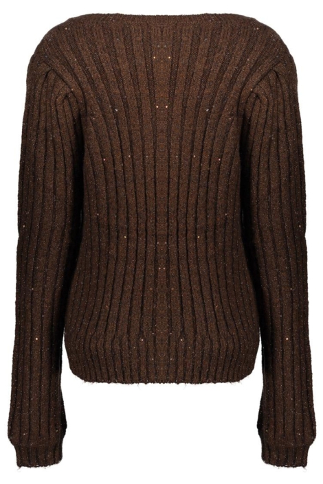 Geisha bruine dames vest | Achteraanzicht