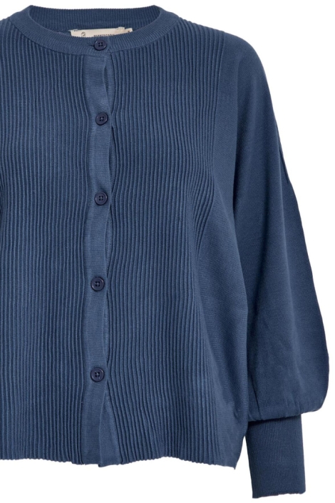 Peppercorn blauwe dames vest | Close up