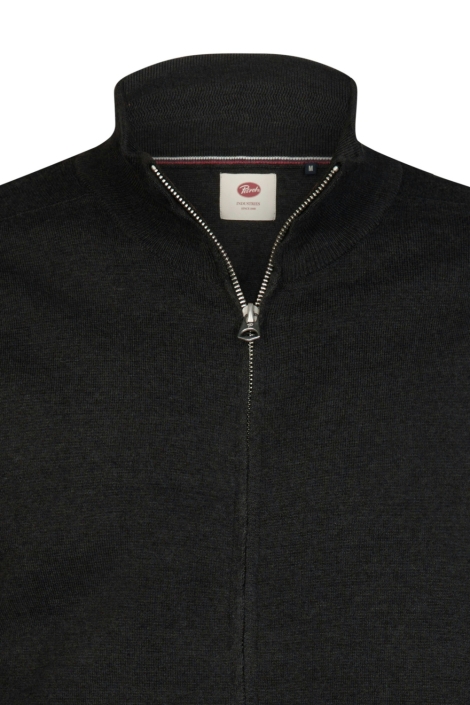 Petrol Industries grijze heren vest | Close up