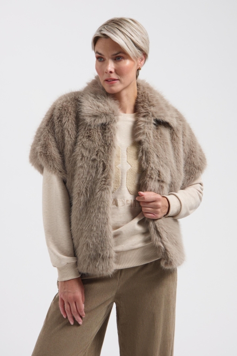 Lady Day bruine dames vest | Model