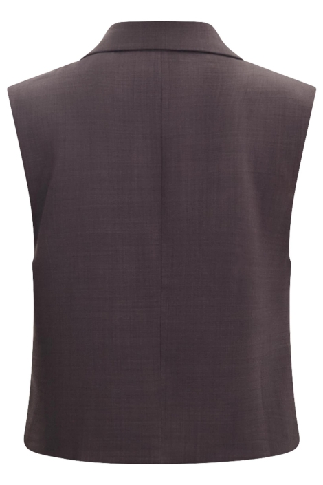SisterS point bruine dames gilet | Achteraanzicht