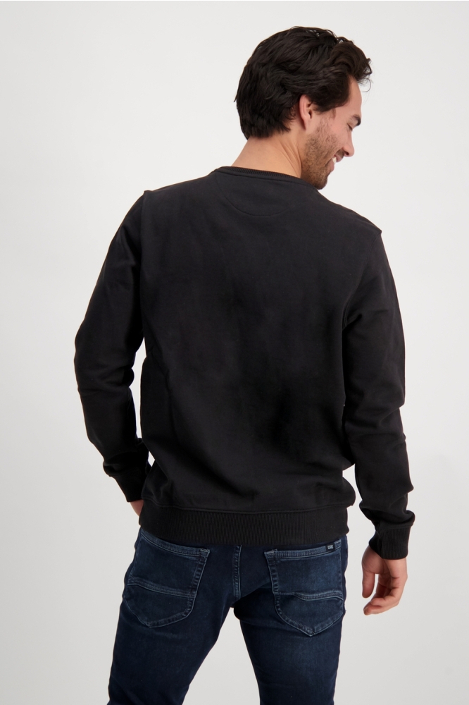 Cars zwarte heren sweater | Model achteraanzicht