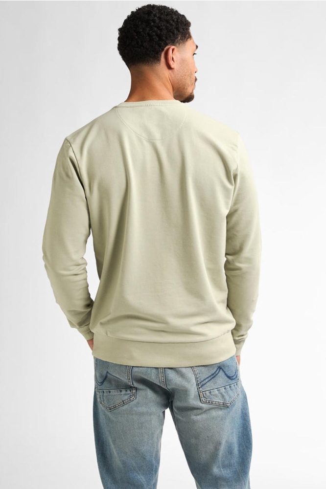 Petrol Industries groene heren sweater | Model achteraanzicht