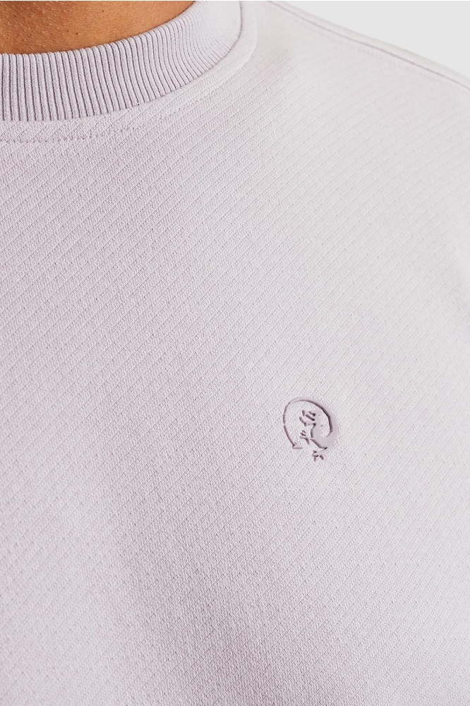 Cast Iron paarse heren sweater | Kleurstaal