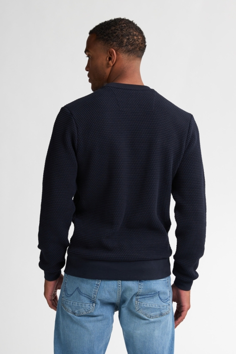 Petrol Industries blauwe heren trui | Model achteraanzicht