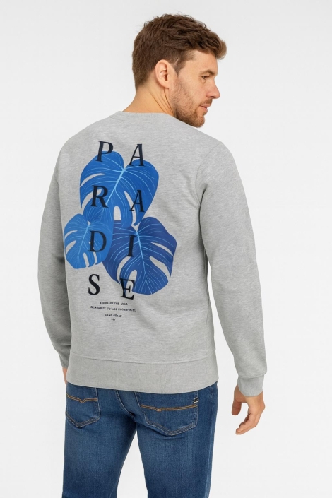 Cars grijze heren sweater | Model achteraanzicht