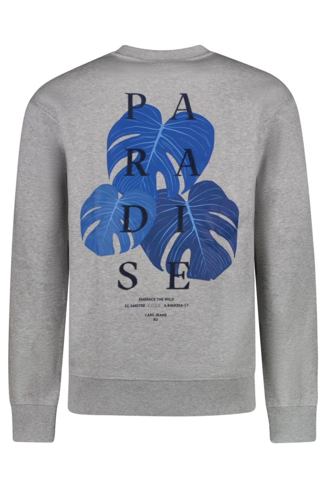 Cars grijze heren sweater | Achteraanzicht