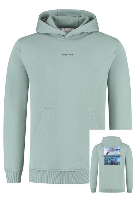 Pure Path groene heren trui | 