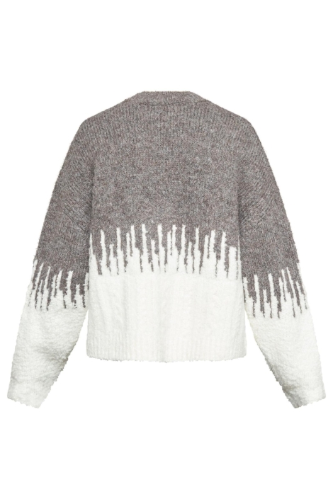 SisterS point multi color dames trui | Achteraanzicht