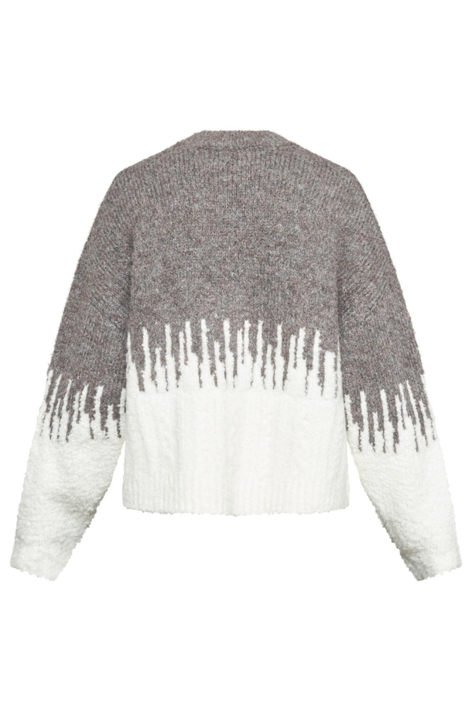 SisterS point multi color dames trui | Achteraanzicht