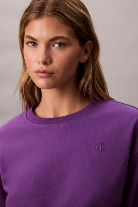 Calvin Klein paarse dames sweater | Close up