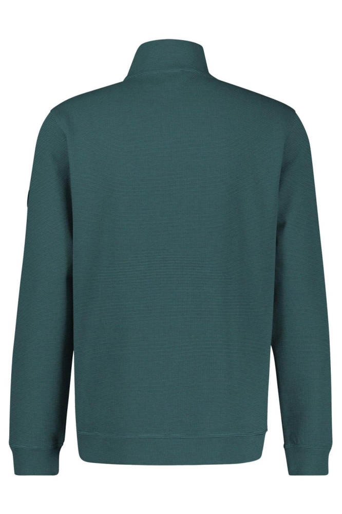 Lerros groene heren trui | Achteraanzicht