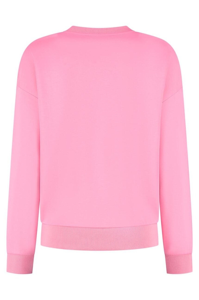 Lady Day roze dames sweater | Achteraanzicht