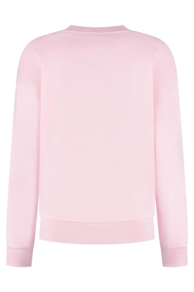 Lady Day roze dames sweater | Achteraanzicht
