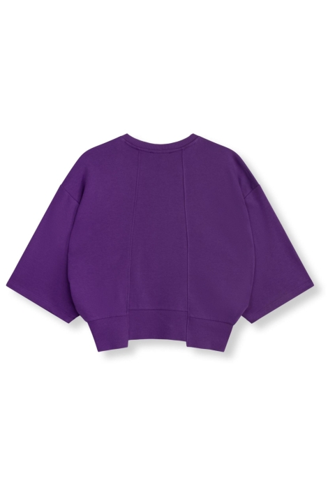 Refined Department paarse dames sweater | Achteraanzicht