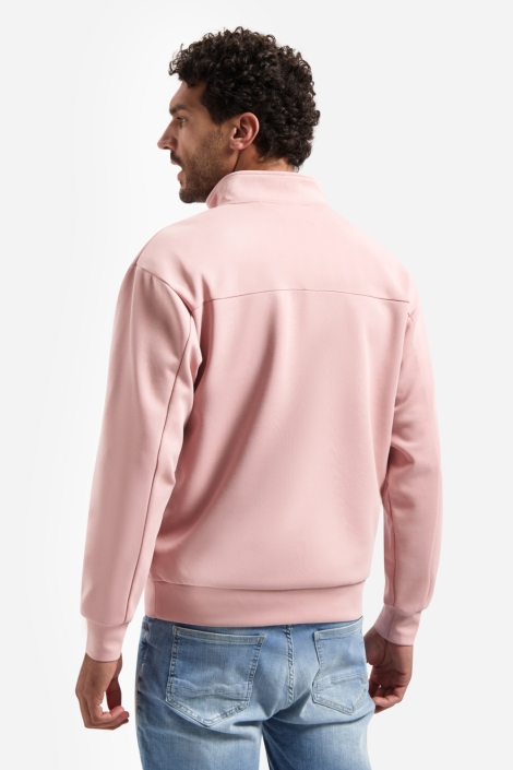 NO-EXCESS roze heren sweater | Model achteraanzicht