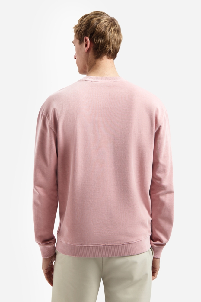 NO-EXCESS roze heren sweater | Model achteraanzicht