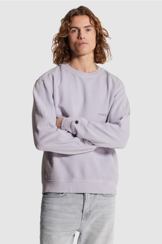 Cast Iron roze heren sweater | Model vooraanzicht