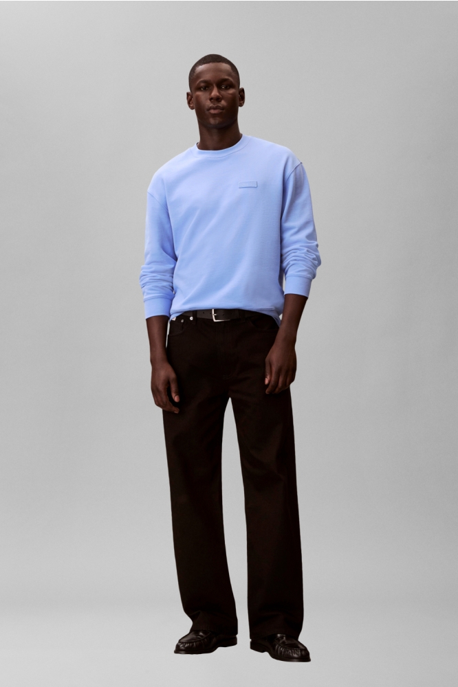 Calvin Klein blauwe heren sweater | Model