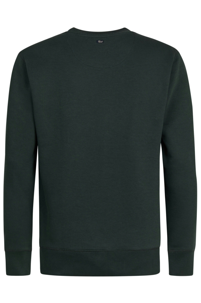 Petrol Industries groene heren sweater | Achteraanzicht