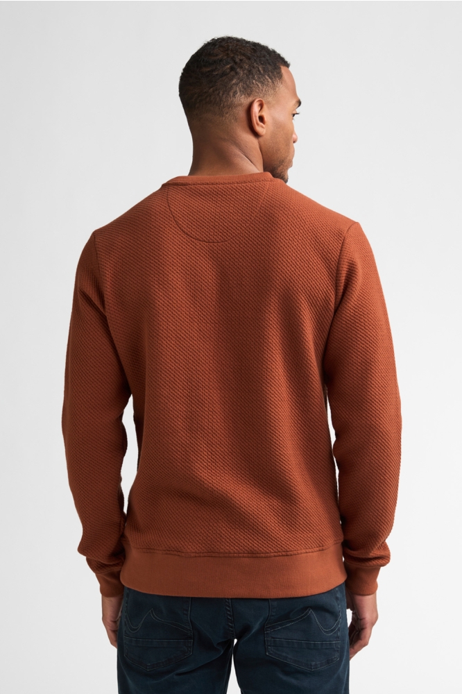 Petrol Industries koperen heren sweater | Model achteraanzicht
