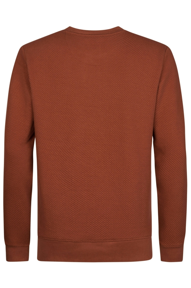 Petrol Industries koperen heren sweater | Achteraanzicht