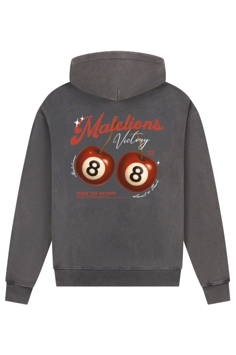 Malelions grijze heren sweater | Achteraanzicht