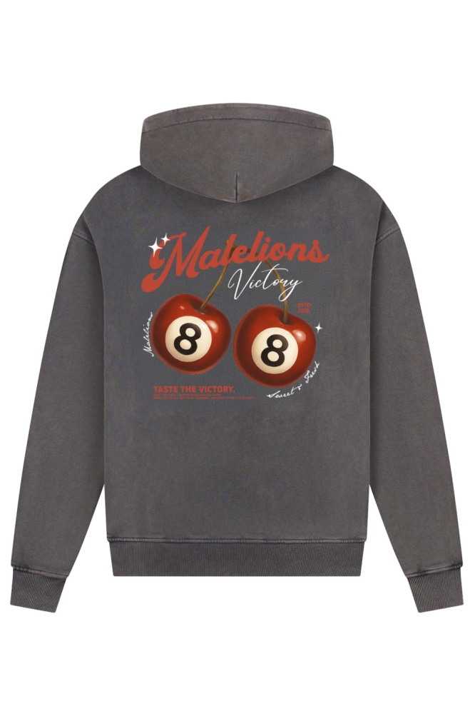 Malelions grijze heren sweater | Achteraanzicht