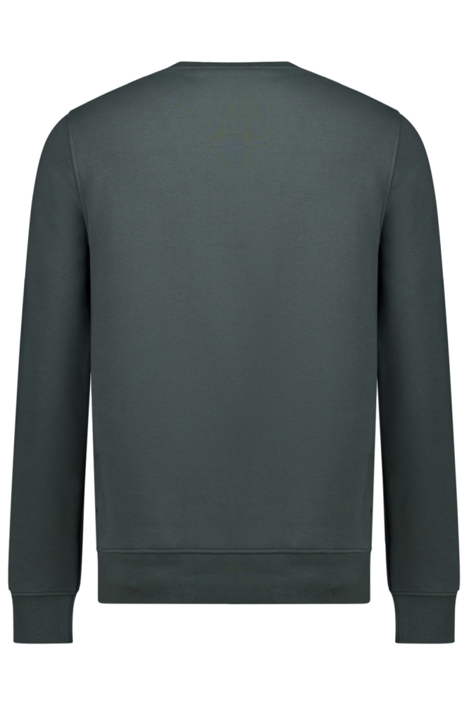 Cars groene heren sweater | Achteraanzicht