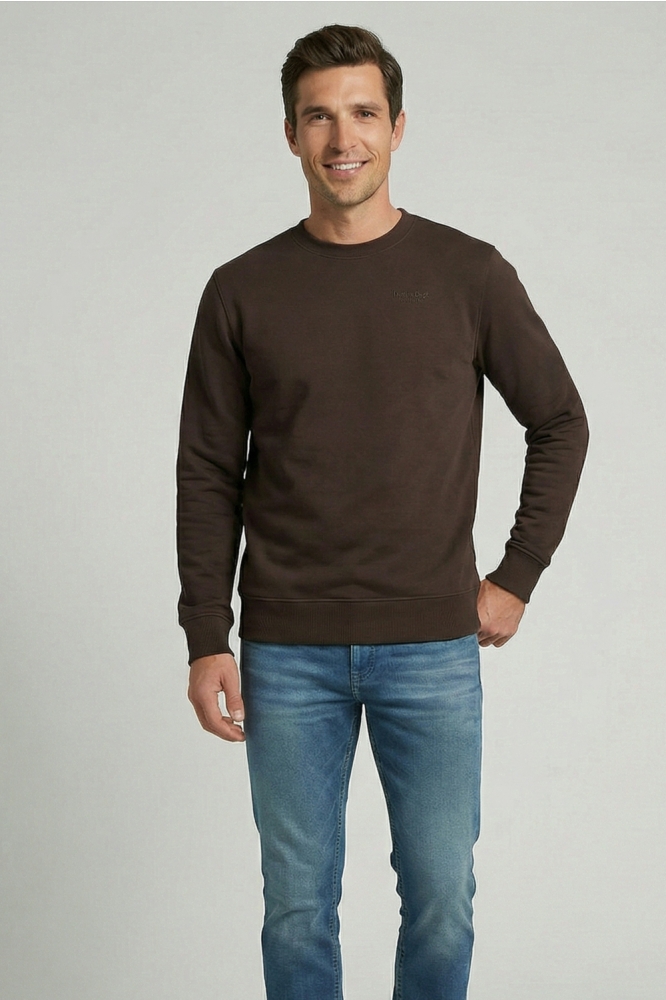 Cars bruine heren sweater | Model vooraanzicht