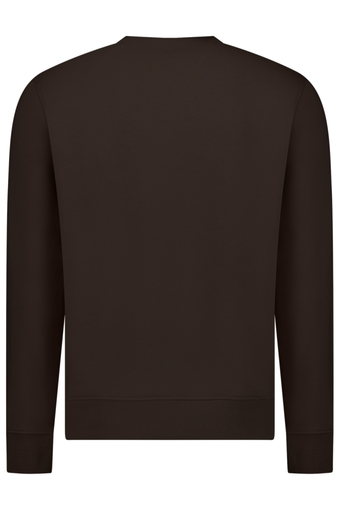Cars bruine heren sweater | Achteraanzicht