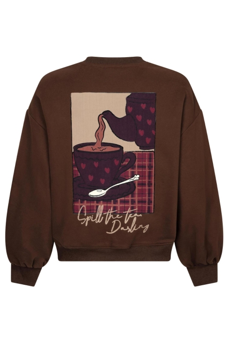 Ydence bruine dames sweater | Achteraanzicht