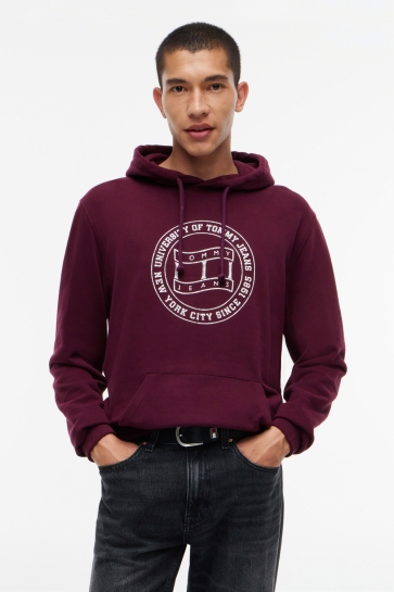 Tommy Jeans Trui TJM REG CREST HOODIE DM0DM23579 V11 CALYPSO BERRY