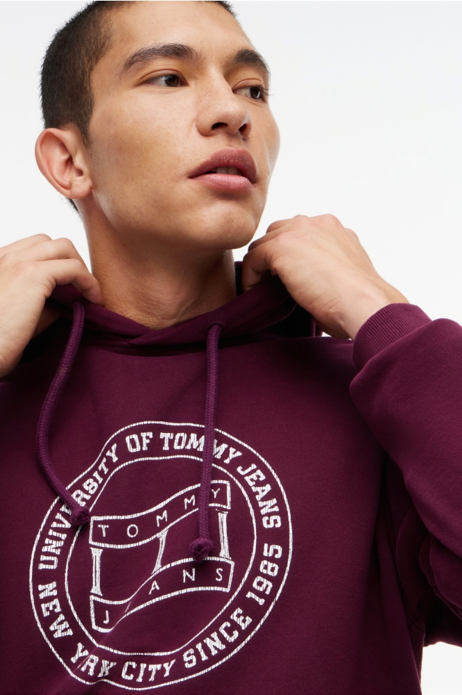 Tommy Jeans bordeaux heren sweater | Close up