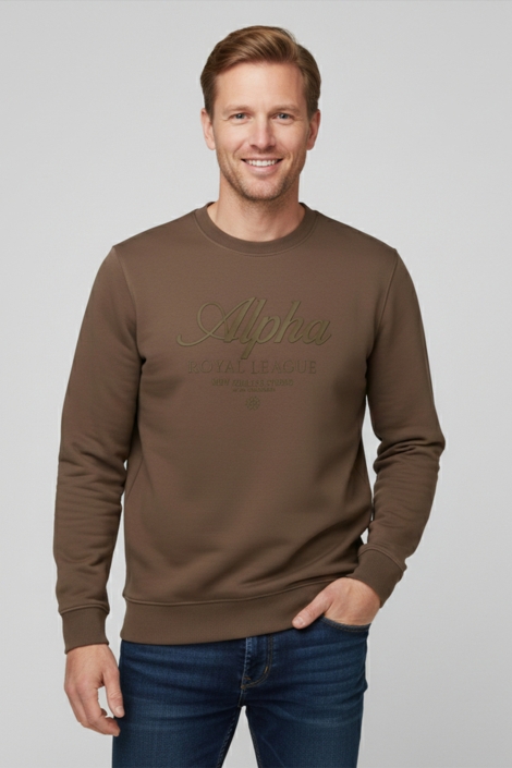 Cars taupe heren sweater | Model vooraanzicht