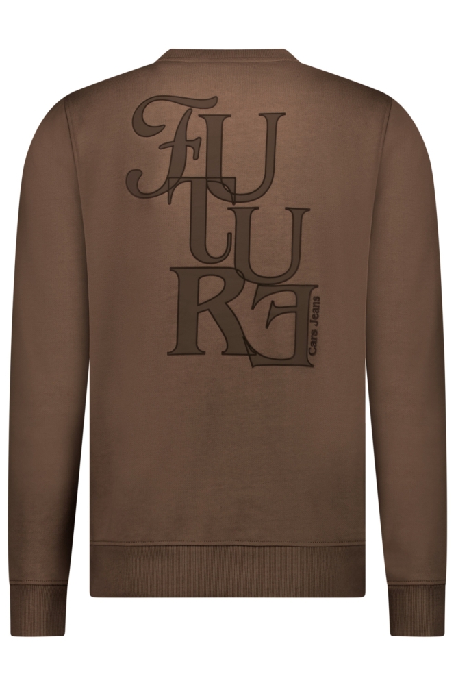 Cars taupe heren sweater | Achteraanzicht