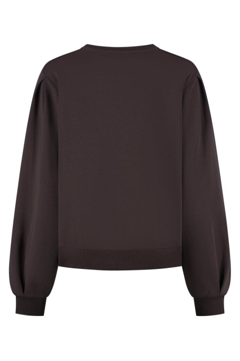 Lady Day bruine dames sweater | Achteraanzicht
