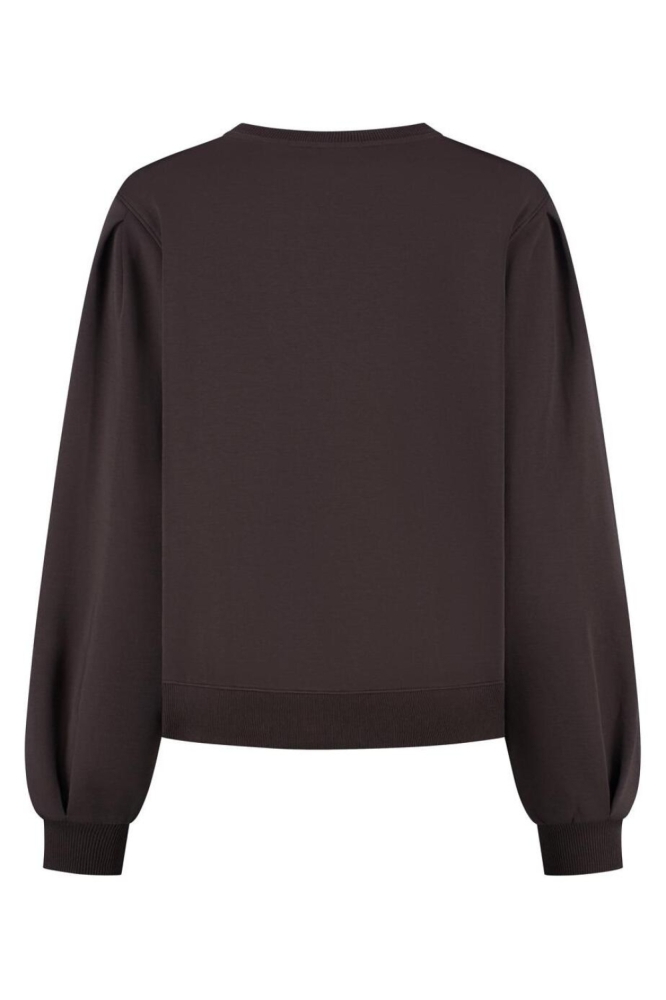 Lady Day bruine dames sweater | Achteraanzicht