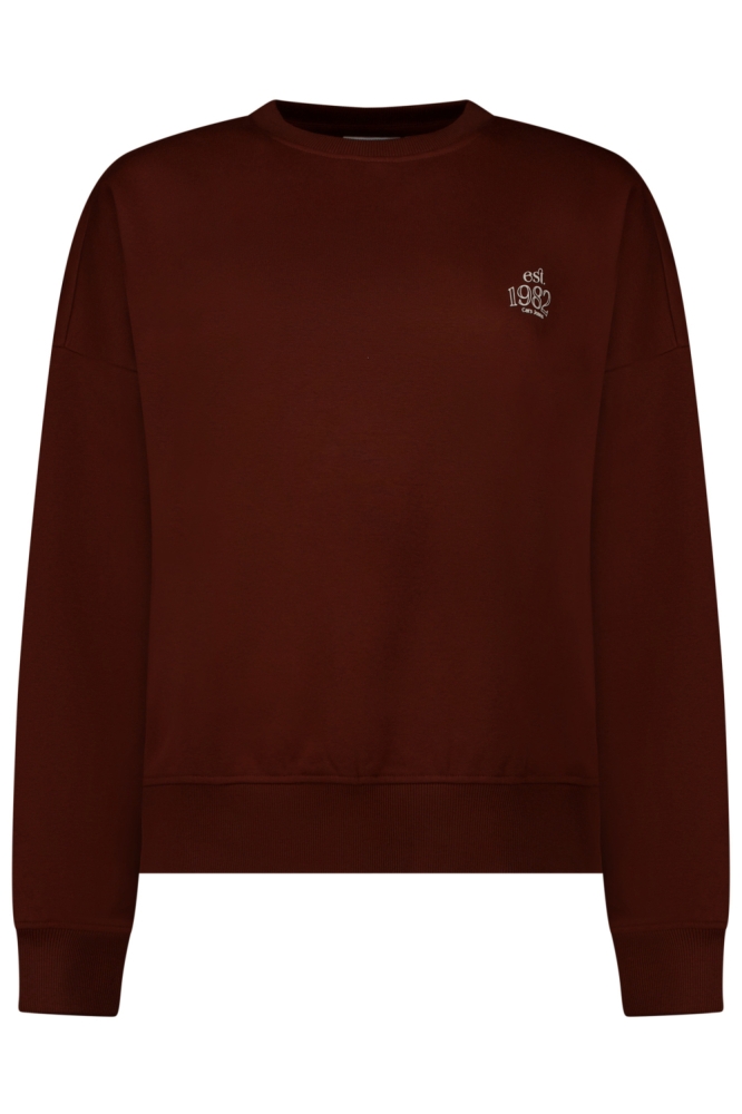 Cars bruine dames sweater | Vooraanzicht