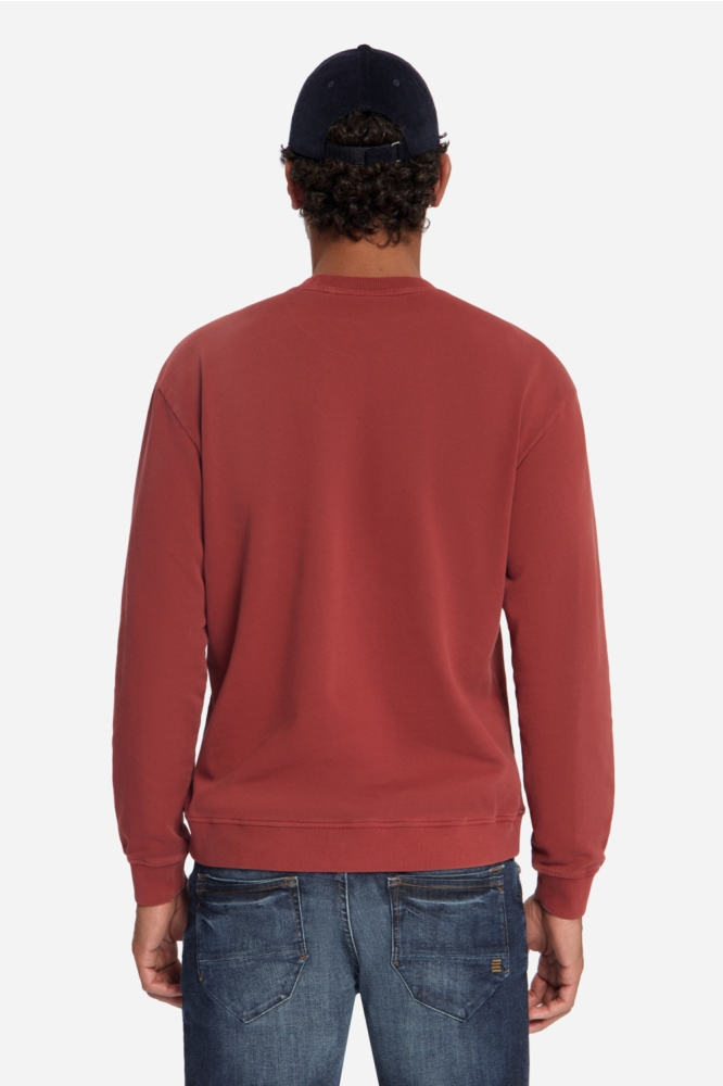 NO-EXCESS rode heren sweater | Model achteraanzicht