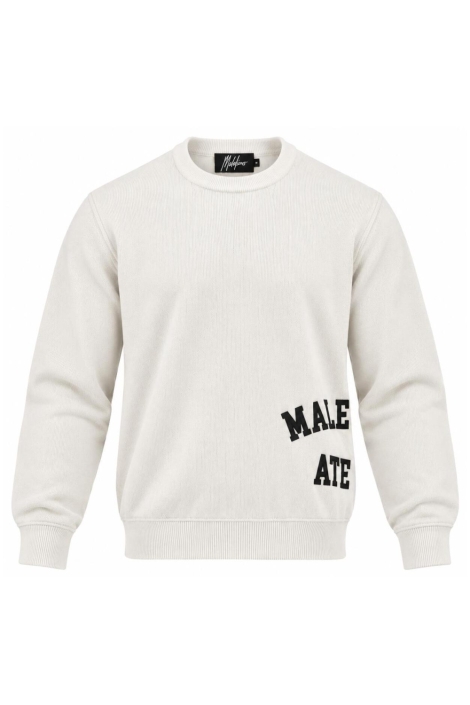 Malelions beige heren trui | Vooraanzicht