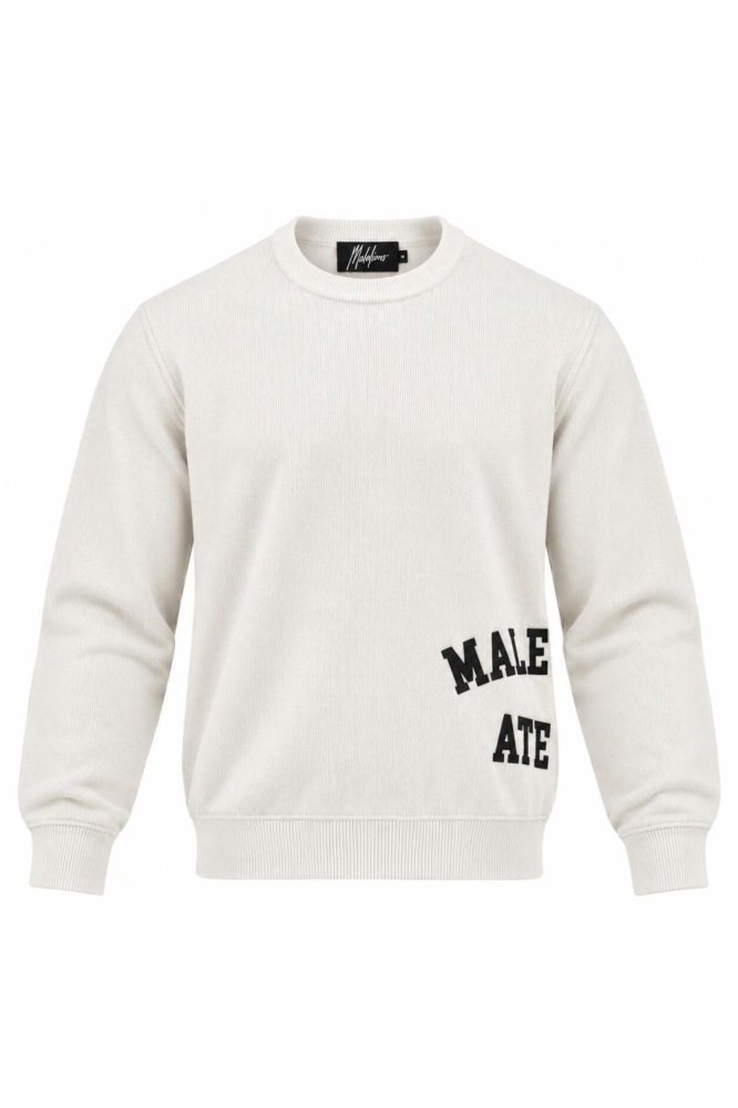 Malelions beige heren trui | Vooraanzicht