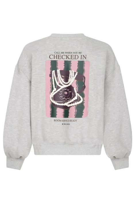 Ydence grijze dames sweater | Achteraanzicht