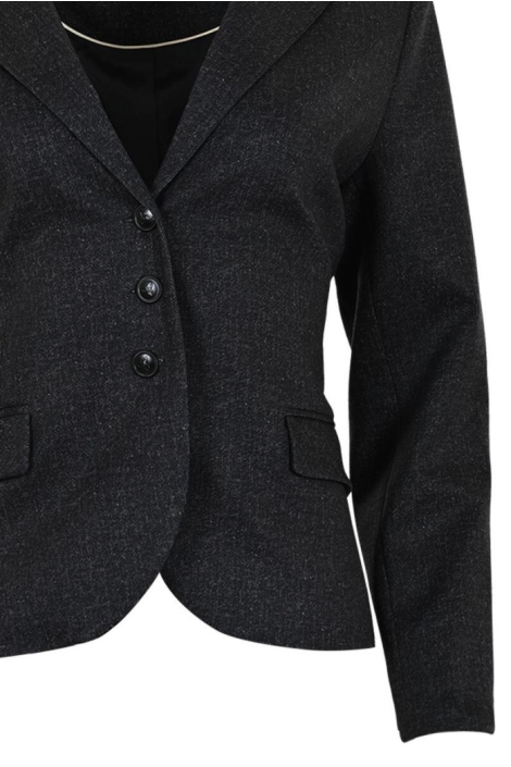 Zizo zilveren dames blazer | Close up