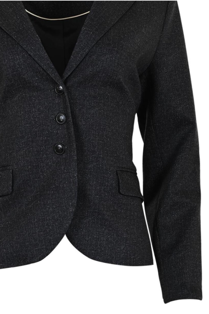 Zizo zilveren dames blazer | Close up