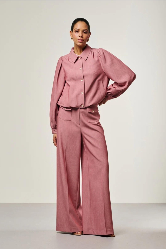 Aaiko roze dames blazer | Model